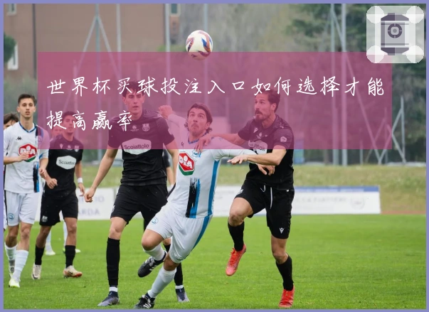 世界杯买球投注入口如何选择才能提高赢率