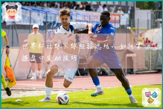 世界杯让球买球经验总结，如何掌握盘口变动技巧