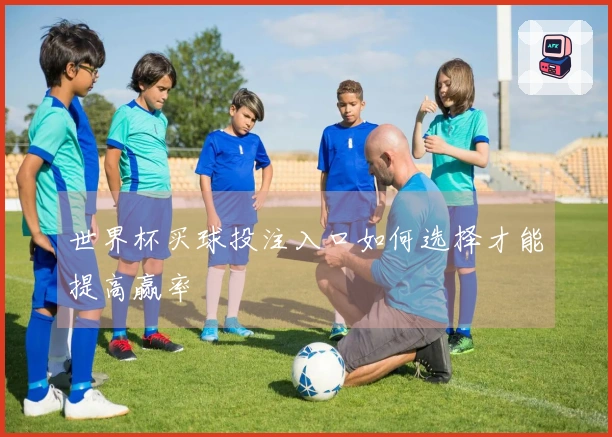 世界杯买球投注入口如何选择才能提高赢率