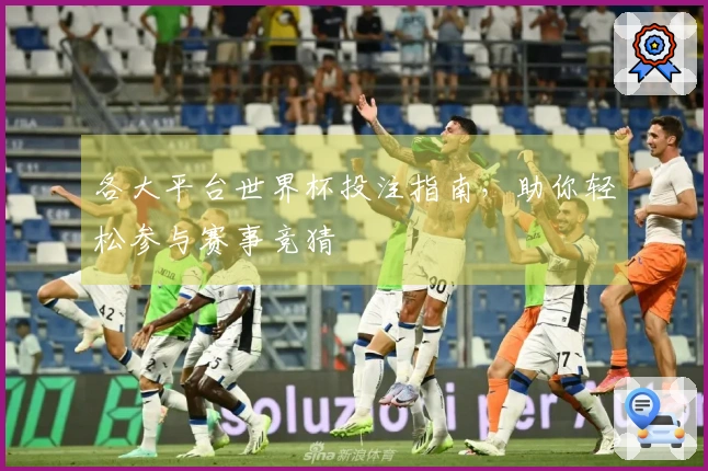 各大平台世界杯投注指南，助你轻松参与赛事竞猜