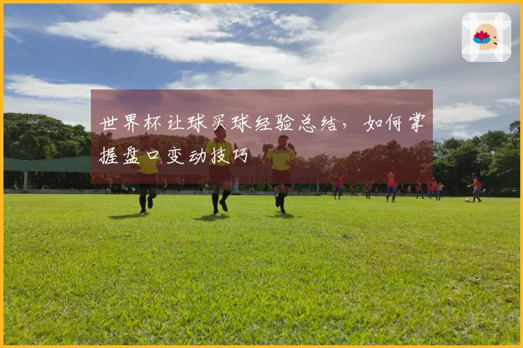 世界杯让球买球经验总结，如何掌握盘口变动技巧