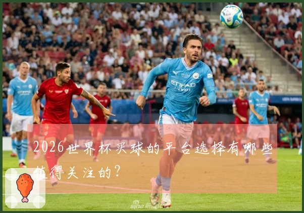 2026世界杯买球的平台选择有哪些值得关注的？